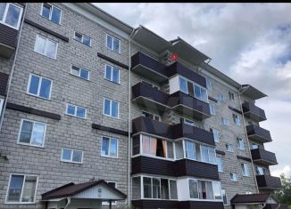 Сдается квартира студия, 24.8 м2, село Майма, улица Д. Климкина, 20к3