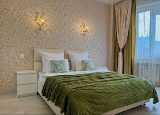 Сдается в аренду 2-ком. квартира, 74 м2, Орёл, Октябрьская улица, 24, Советский район