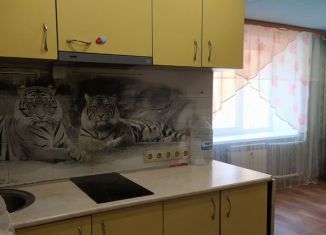 Сдаю в аренду 2-ком. квартиру, 26 м2, Йошкар-Ола, улица Прохорова, 14, 9-й микрорайон