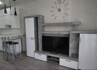 Квартира в аренду студия, 28.4 м2, Тула, Оборонная улица, 102В, ЖК Smart-квартал Современник