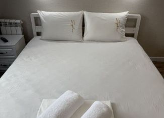 Квартира в аренду студия, 22 м2, Йошкар-Ола, улица Дружбы, 111, 3-й микрорайон