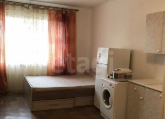Квартира в аренду студия, 28 м2, Новосибирск, Воинская улица, 10, Октябрьский район