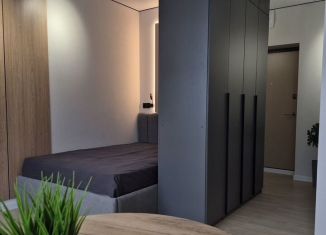 Квартира в аренду студия, 24.5 м2, Коми, Петрозаводская улица, 47