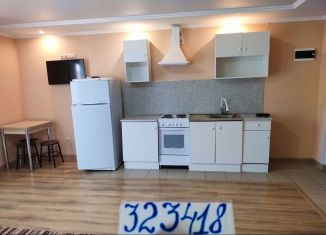 Сдаю в аренду квартиру студию, 30 м2, поселок Верхнетемерницкий, Звёздный переулок, 10