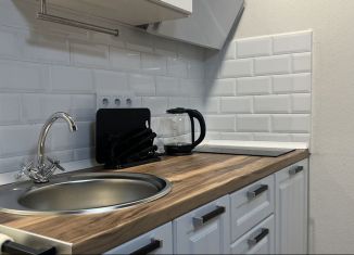 Сдаю в аренду квартиру студию, 26 м2, Новосибирск, улица Котовского, 18/1