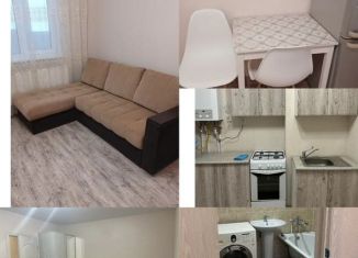 Сдам в аренду однокомнатную квартиру, 32 м2, деревня Куюки, улица 21-й Квартал, 8