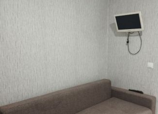 Сдам квартиру студию, 21 м2, Йошкар-Ола, улица Чернякова, 1, микрорайон 9Б