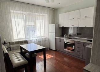 Сдам однокомнатную квартиру, 27 м2, Биробиджан, Широкая улица, 18, микрорайон А