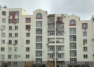 Сдача в аренду 1-комнатной квартиры, 40 м2, Челябинск, улица Работниц, 72, район Заречье