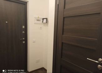 Квартира на продажу студия, 25 м2, Санкт-Петербург, метро Международная, Кузнецовская улица, 58к1