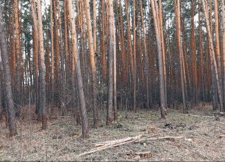 Поселок светлый свердловская область. Пгт светлая. Посёлок светлый Свердловская область. Сысертский р он п светлый. Деревня светлая Свердловская область.