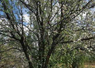 Продается дом, 20 м2, Курган, СНТ Лотос, 18