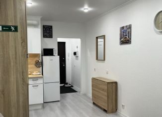 Аренда квартиры студии, 23 м2, Мурино, Воронцовский бульвар, 19к1, ЖК Материк