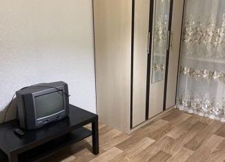 Квартира в аренду студия, 20 м2, Курган, улица Пичугина, 6, жилой район Центральный