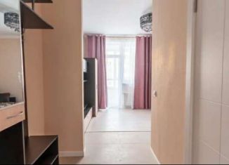 Сдаю в аренду квартиру студию, 27 м2, деревня Раздоры, ПСК Раздоры, 4-1