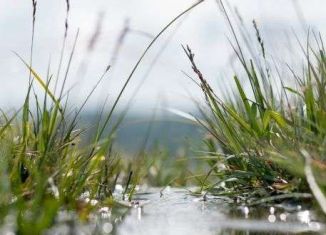 Продажа земельного участка, 45 сот., деревня Протопоповка