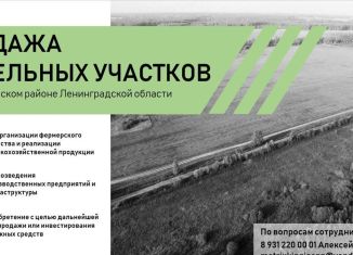 Продаю участок, 81200 сот., Ленинградская область