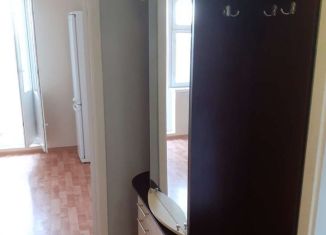 1-комнатная квартира в аренду, 37 м2, деревня Жилина, улица Графа Киселёва, 1