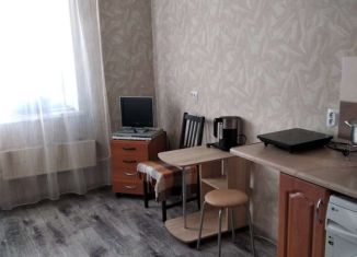 Квартира на продажу студия, 17 м2, Пермь, проспект Декабристов, 41, Индустриальный район