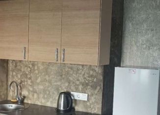 Сдача в аренду квартиры студии, 21 м2, Мурино, Петровский бульвар, 2к1, ЖК Три кита