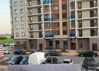 Сдача в аренду квартиры студии, 25 м2, поселок Бугры, улица Шекспира, 7, ЖК Энфилд