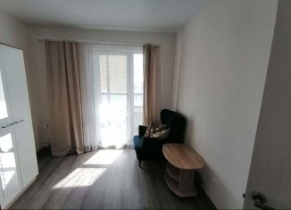 Однокомнатная квартира в аренду, 35 м2, городской посёлок Янино-1, улица Тюльпанов, 2к1