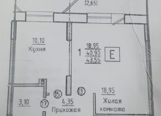 Продаю однокомнатную квартиру, 43.6 м2, Новосибирск, 6-й переулок Танкистов, ЖК Радуга