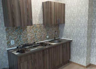 Сдаю квартиру студию, 20 м2, Мурино, Графская улица, 11, ЖК Краски Лета