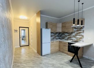 Продаю квартиру студию, 28 м2, деревня Пирогово, улица Ильинского, 6