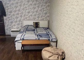 Сдача в аренду 1-комнатной квартиры, 41 м2, Кемерово, проспект Ленина, 55Б