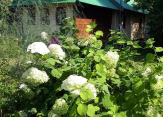 Дом на продажу, 64 м2, деревня Федоровское, улица Курпинка, 7