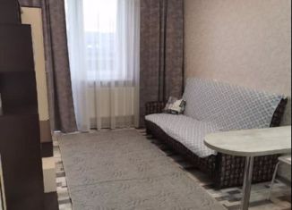 Продажа квартиры студии, 25 м2, Краснодар, улица Евгении Жигуленко, 9, ЖК Победа