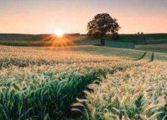 Продам земельный участок, 793 сот., село Луговое, Шоссейная улица