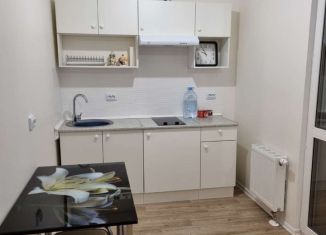 Сдается квартира студия, 25 м2, Санкт-Петербург, Муринская дорога, 12к1, метро Академическая