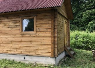 Продажа дома, 24 м2, деревня Ширяйка