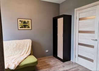 Сдаю в аренду квартиру студию, 25 м2, Санкт-Петербург, Муринская дорога, 10к1, метро Академическая
