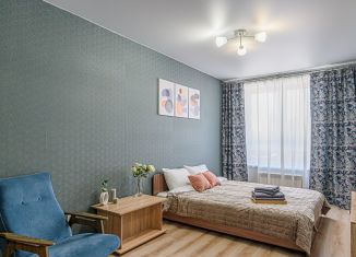 Сдача в аренду однокомнатной квартиры, 40 м2, Новосибирская область, Покатная улица, 55А