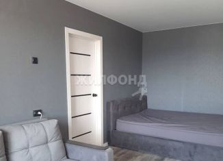 2-комнатная квартира на продажу, 44.7 м2, Новосибирск, Гусинобродское шоссе, 25, метро Берёзовая роща