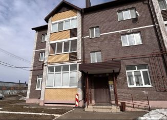 Продажа 1-комнатной квартиры, 37 м2, Татарстан, Никольская улица, 1А