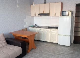 1-комнатная квартира в аренду, 42 м2, Новосибирск, метро Площадь Маркса, улица Зорге, 273