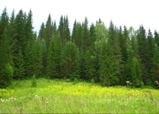 Продается участок, 900 сот., село Стряпунята, Советская улица