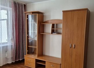 Продается 1-комнатная квартира, 29.4 м2, Новосибирск, улица Доватора, 17, метро Берёзовая роща