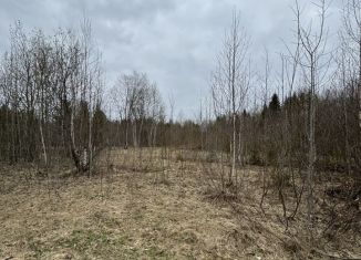 Продаю земельный участок, 12 сот., деревня Турлавы