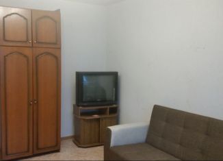 1-комнатная квартира в аренду, 28 м2, Вологодская область, улица Газовиков, 39