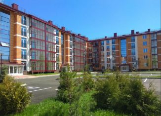 Продам квартиру студию, 42 м2, посёлок Шушары, Образцовая улица, 8к1, ЖК Образцовый квартал 7