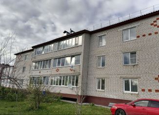 Продажа 1-ком. квартиры, 36 м2, Нижегородская область, Больничная улица, 47