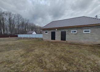 Продажа дома, 55 м2, деревня Новогеоргиевка, Восточная улица