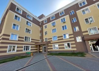 Продаю 2-комнатную квартиру, 49.3 м2, Новосибирская область, Народная улица, 59