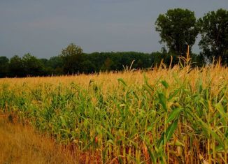 Земельный участок на продажу, 210 сот., Усть-Джегута, улица Богатырёва