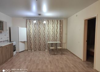 Однокомнатная квартира на продажу, 45.3 м2, Челябинская область, Олимпийская улица, 6